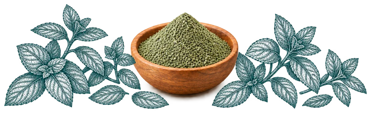 Mint Powder in a wooden bowl, with its ingredients drawn around it