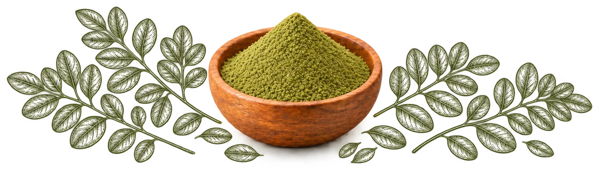 Moringa Powder in a wooden bowl, with its ingredients drawn around it